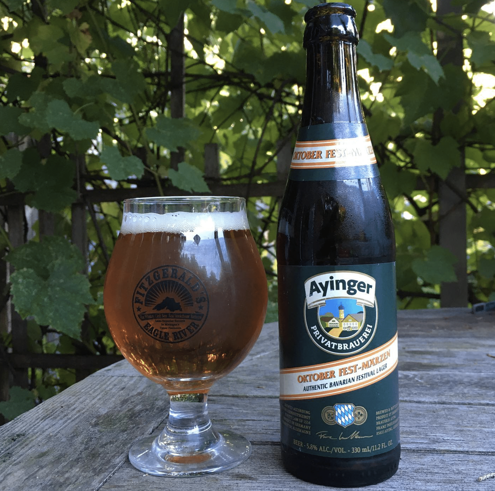Best Fall Beers: Pumpkin Ales to Classic Oktoberfests Pints