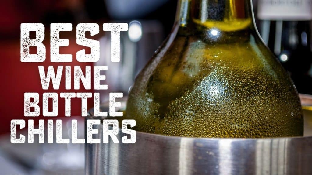 Best Wine Bottle Chillers to Try Out