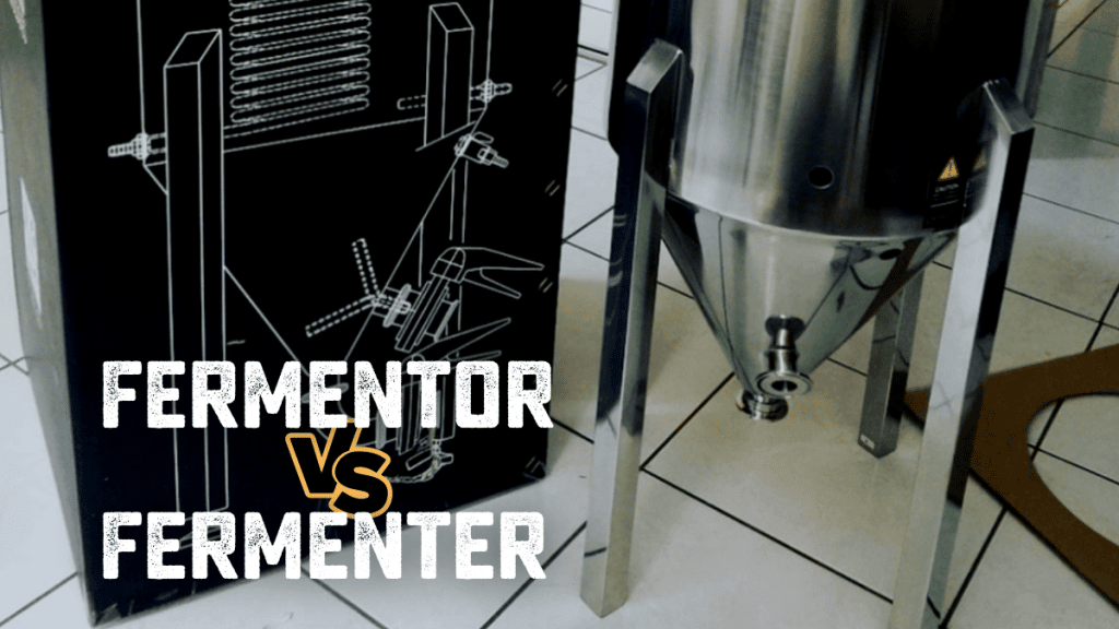 Fermentor vs Fermenter What's the Difference? [Quick Guide]