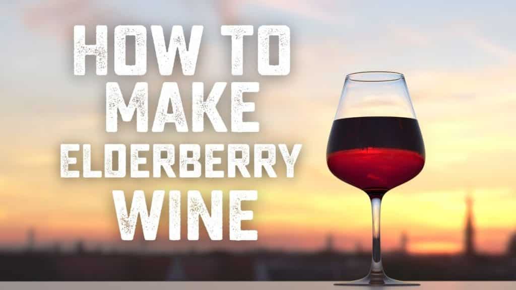 Easy Elderberry Wine Recipe for Beginners