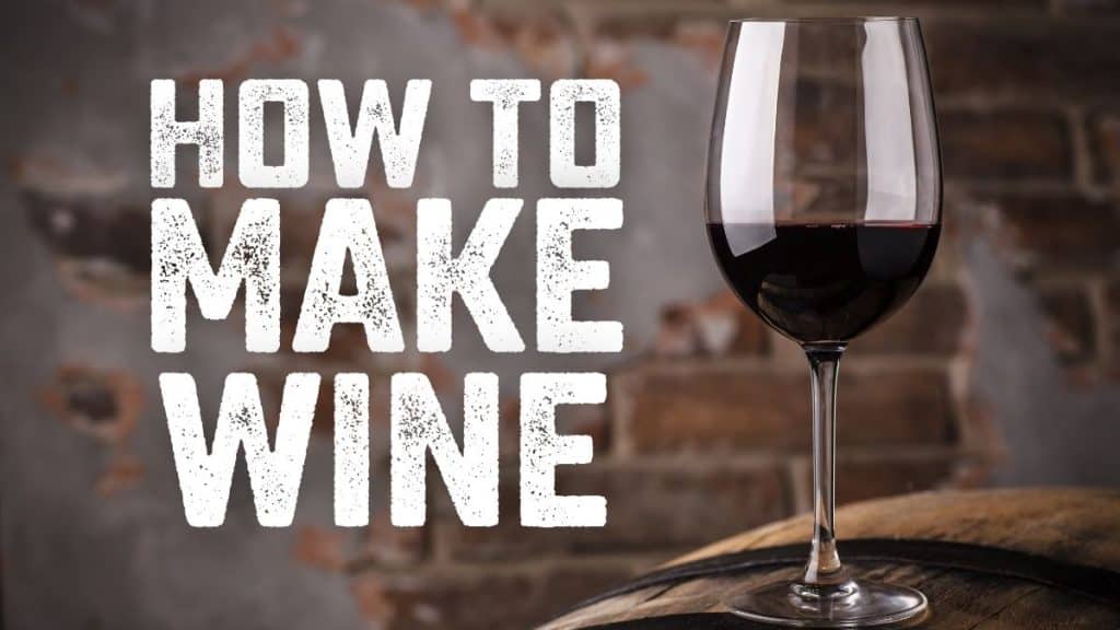How to Make Homemade Wine A Complete Guide Homebrew Academy