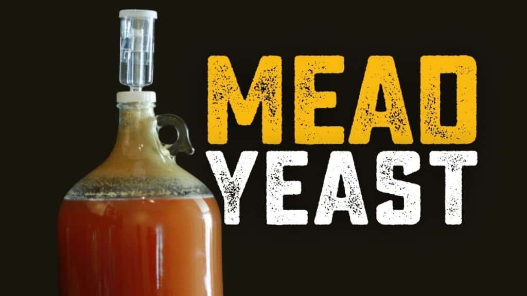 Mead Yeast What is the Best Yeast for Mead?