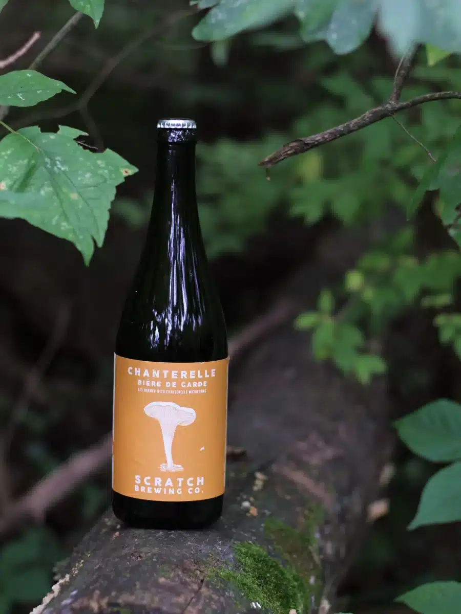 Mushroom Beer