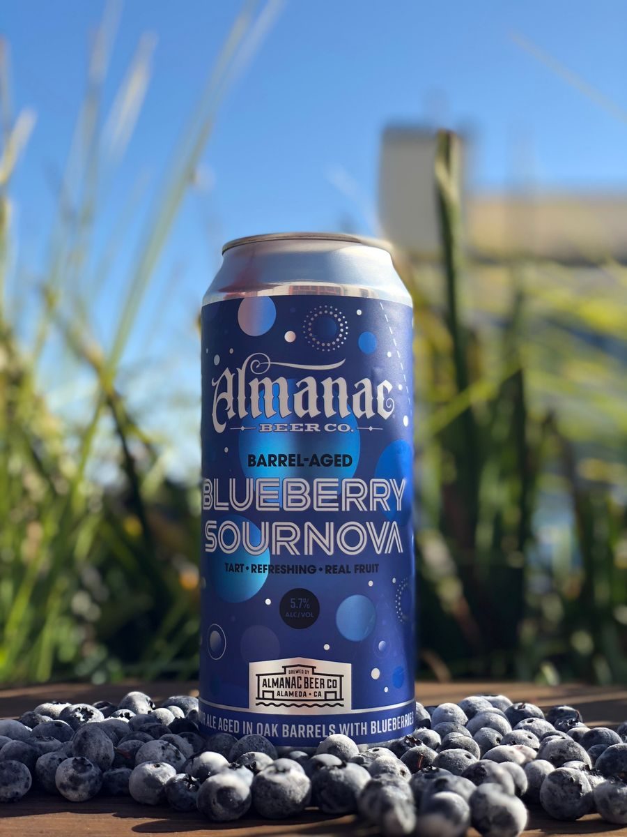 Blueberry Sournova