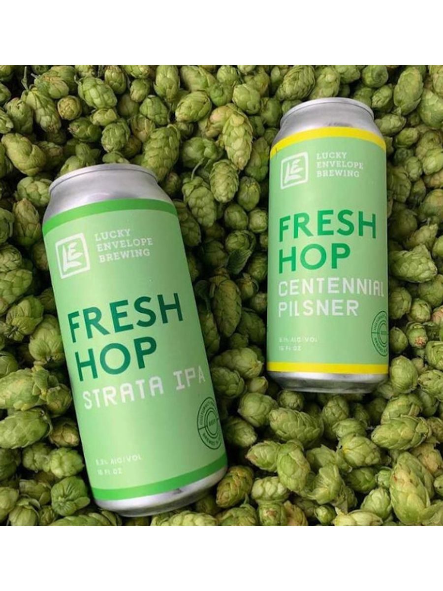 Lórien Fresh Hop Pilsner