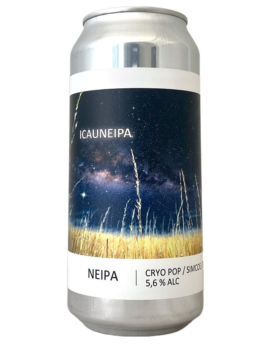 Popihn ICAUNEIPA